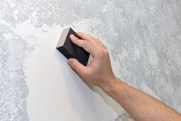 Best Mold Odor Removal Services  in Mount Ora, OH