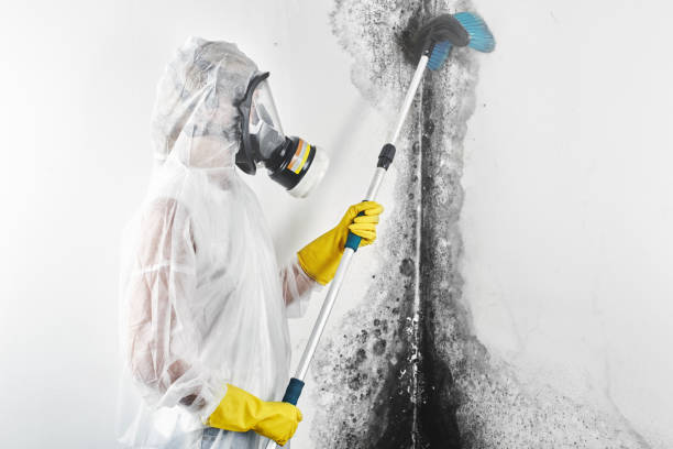 Best Indoor Air Quality Assessment  in Mount Ora, OH