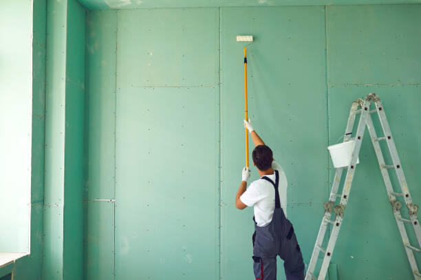 Trusted Mount Ora, OH Mold Removal Experts