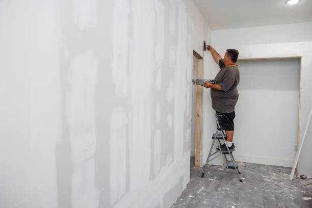 Best Black Mold Removal  in Mount Ora, OH