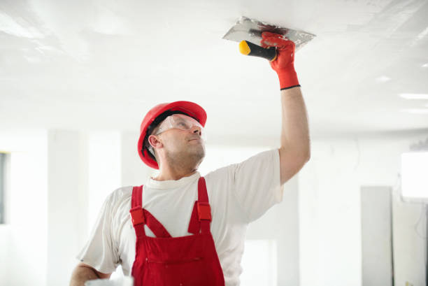 Best Mold Damage Restoration  in Mount Ora, OH