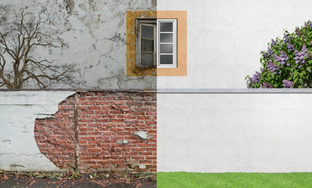 Best Real Estate Mold Inspection  in Mount Ora, OH