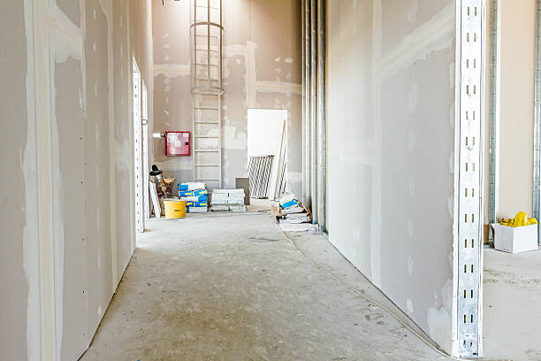 Best Mold Damage Restoration  in Mount Ora, OH
